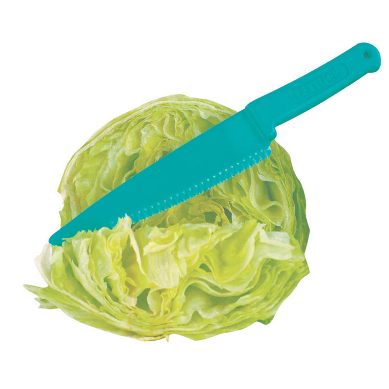 A green Lettuce Knife is placed on top of a healthy green head of crispy lettuce. This Lettuce knife is safe to use by those who are blind or visually impaired.